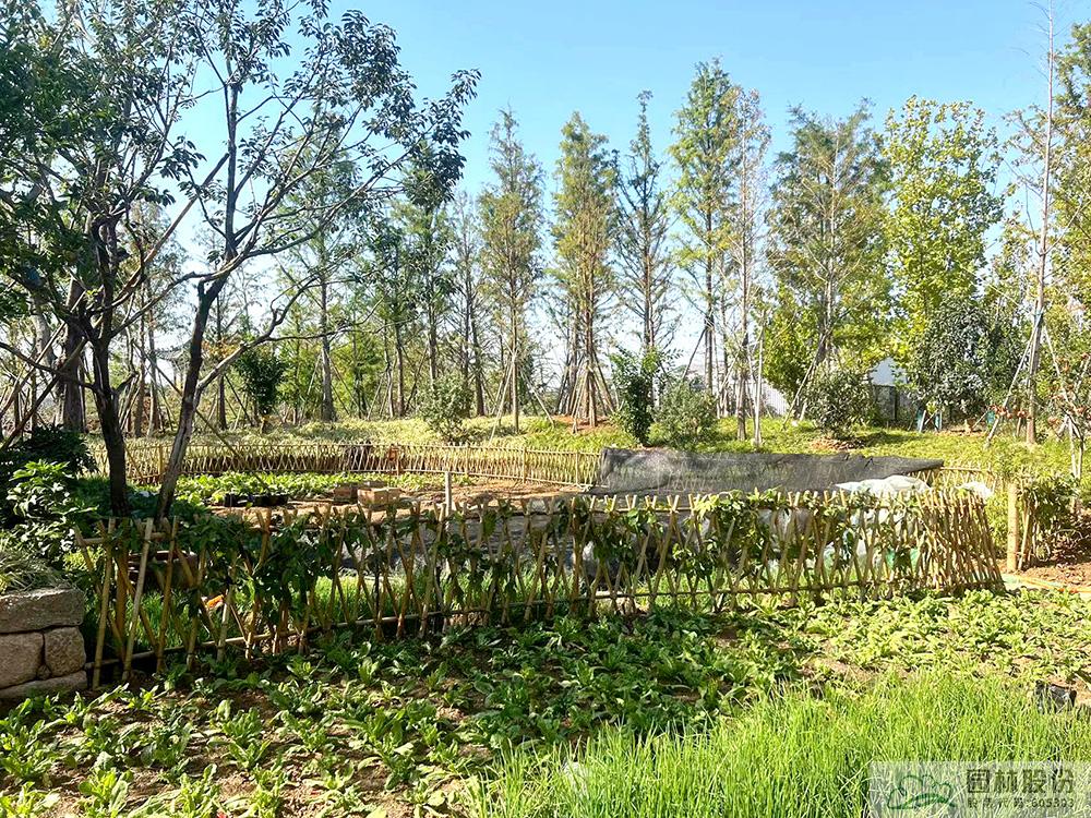 电竞比赛押注app