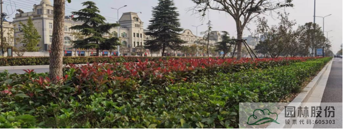 电竞比赛押注app