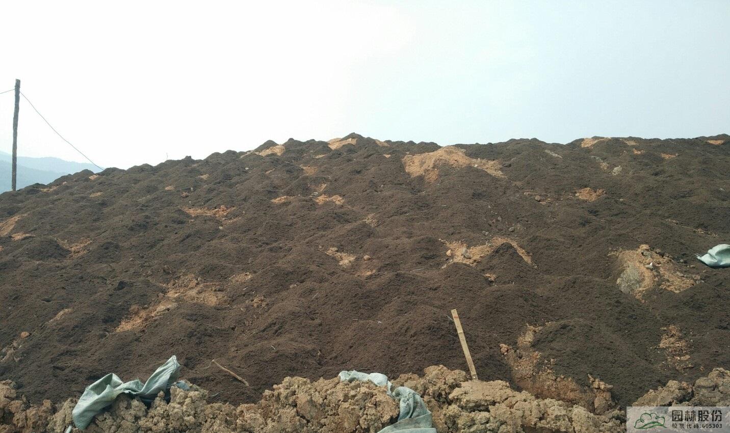 电竞比赛押注app