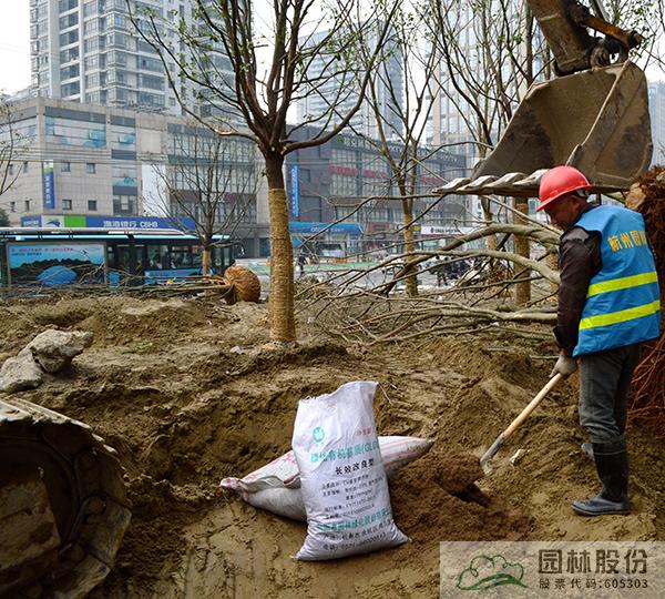 电竞比赛押注app