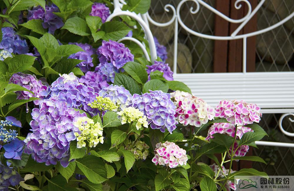 电竞比赛押注app