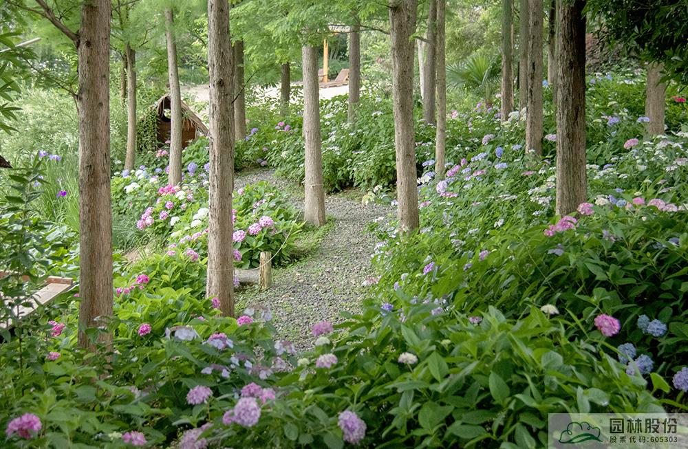 电竞比赛押注app