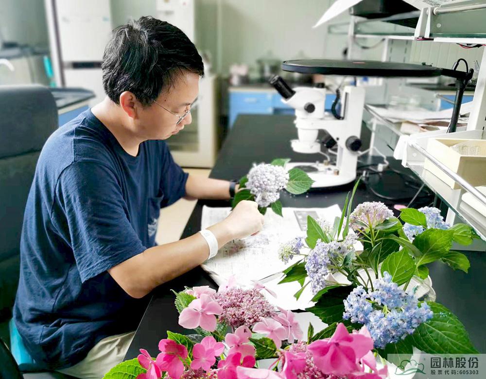 电竞比赛押注app