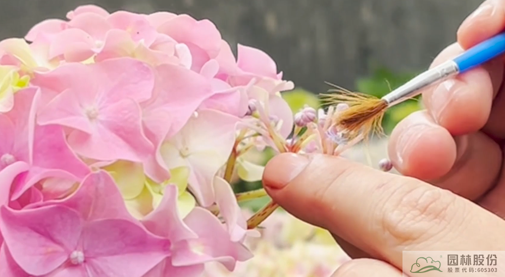 电竞比赛押注app