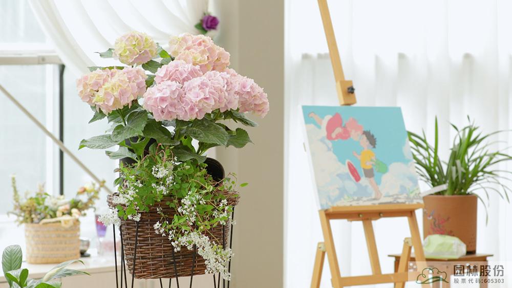 电竞比赛押注app