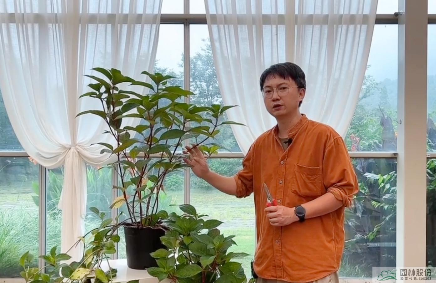 电竞比赛押注app