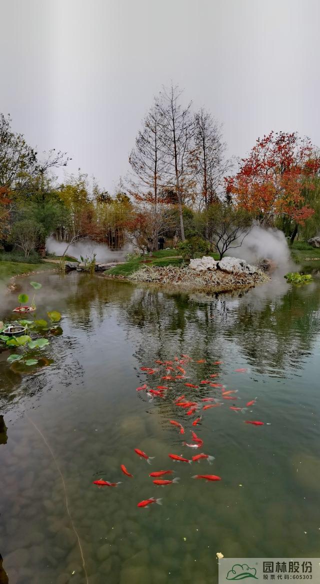 电竞比赛押注app