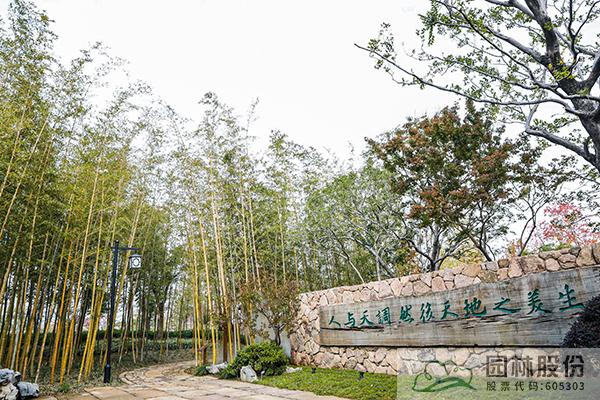 电竞比赛押注app