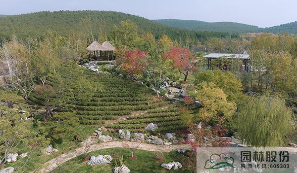 电竞比赛押注app