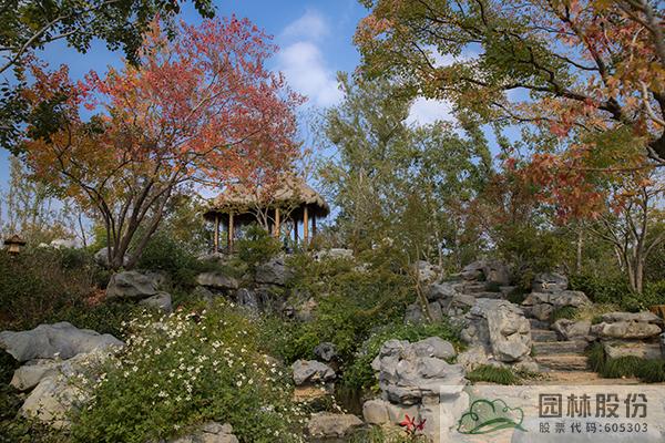 电竞比赛押注app