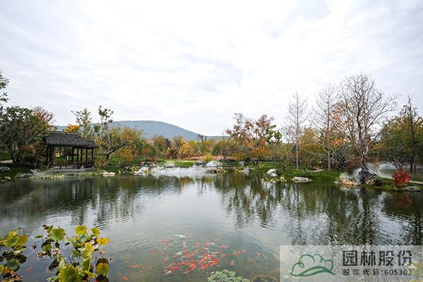 电竞比赛押注app