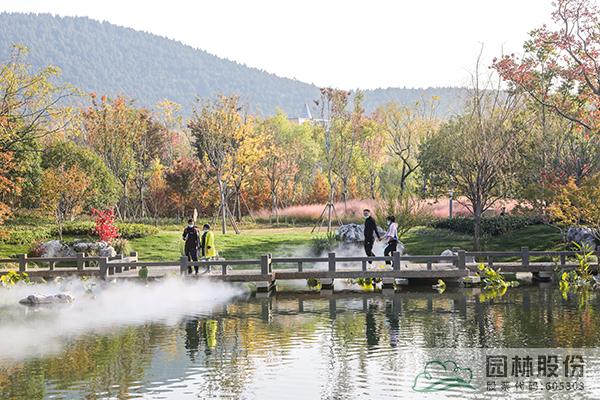 电竞比赛押注app