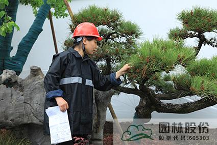 电竞比赛押注app