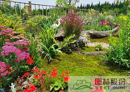 电竞比赛押注app