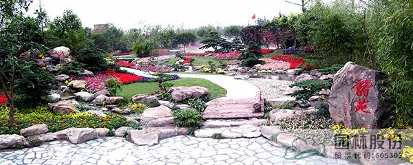 电竞比赛押注app