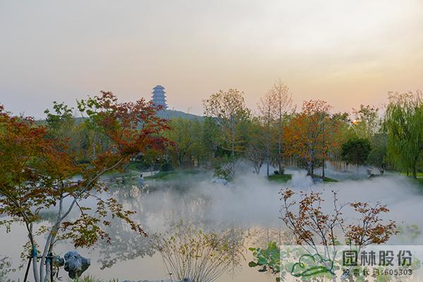 电竞比赛押注app