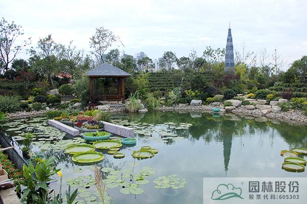 电竞比赛押注app