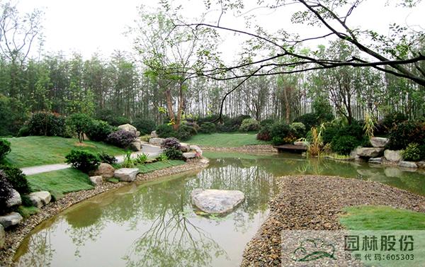 电竞比赛押注app