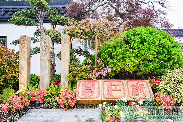 电竞比赛押注app