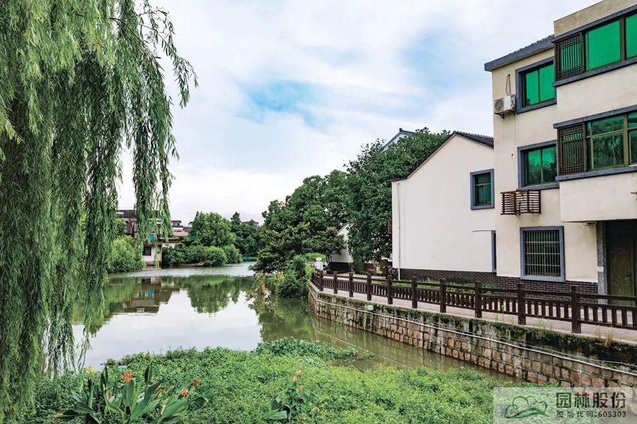 电竞比赛押注app