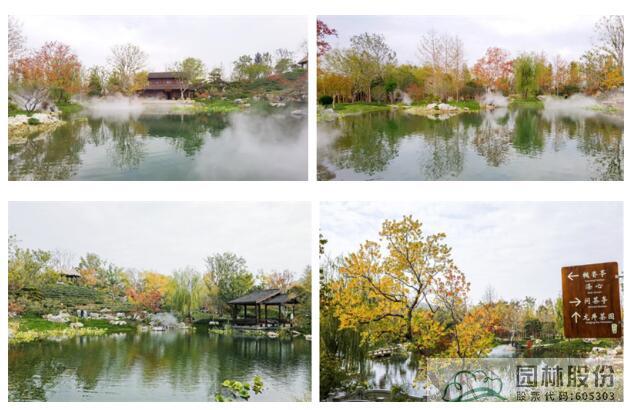 电竞比赛押注app