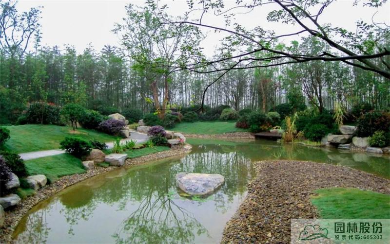 电竞比赛押注app