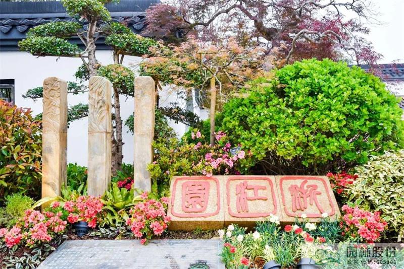 电竞比赛押注app