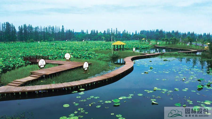 电竞比赛押注app