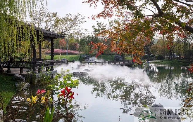 电竞比赛押注app