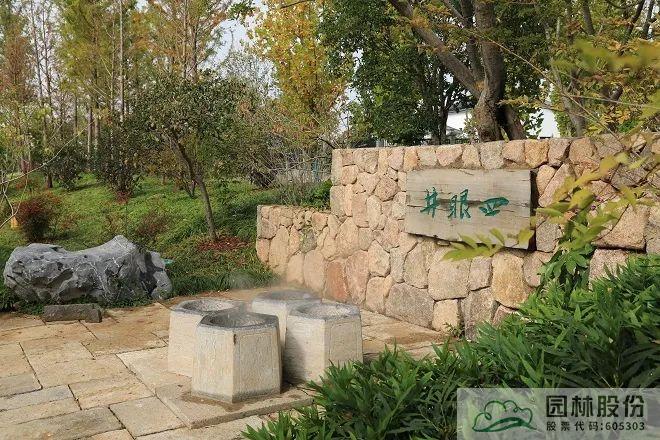 电竞比赛押注app