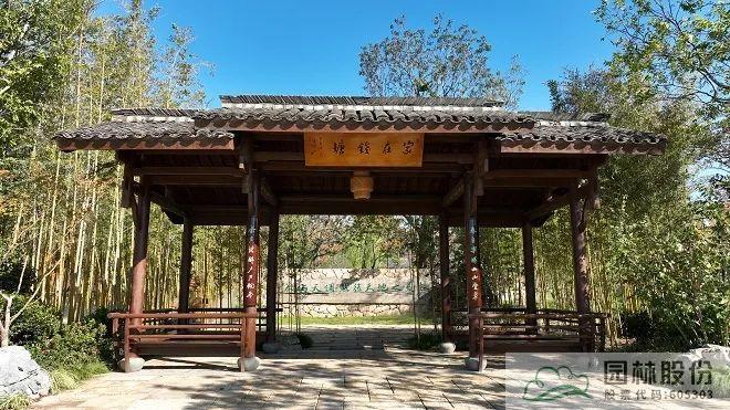 电竞比赛押注app