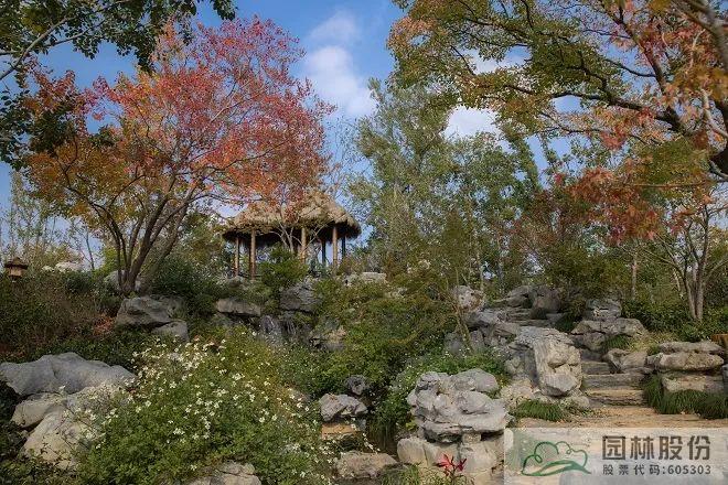 电竞比赛押注app