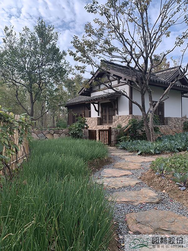 电竞比赛押注app