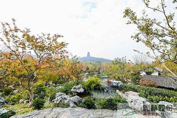 电竞比赛押注app