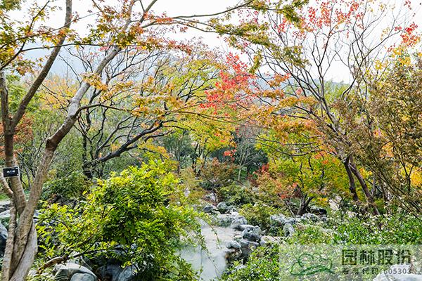 电竞比赛押注app