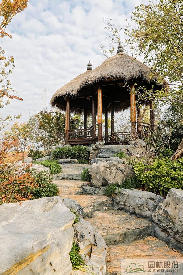 电竞比赛押注app