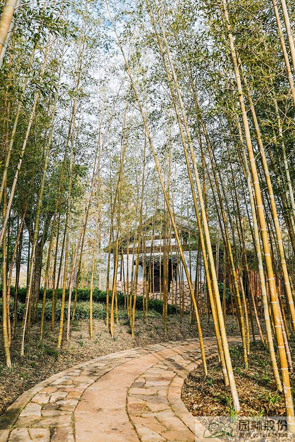 电竞比赛押注app