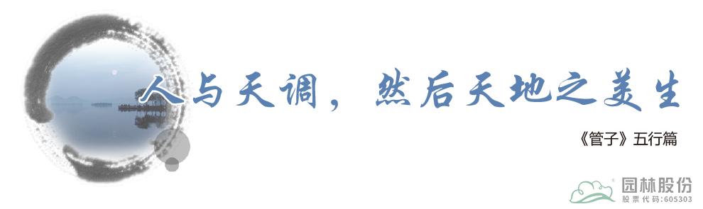 电竞比赛押注app