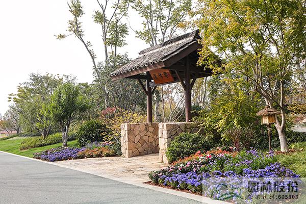 电竞比赛押注app