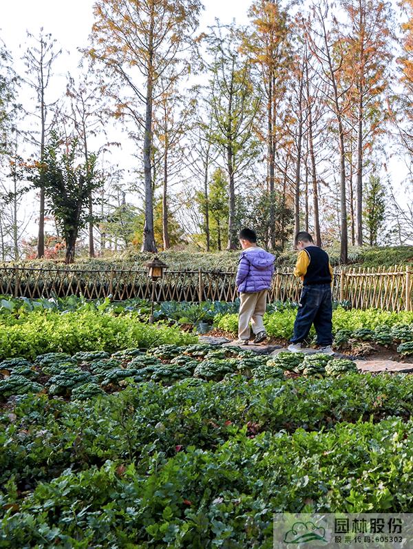 电竞比赛押注app