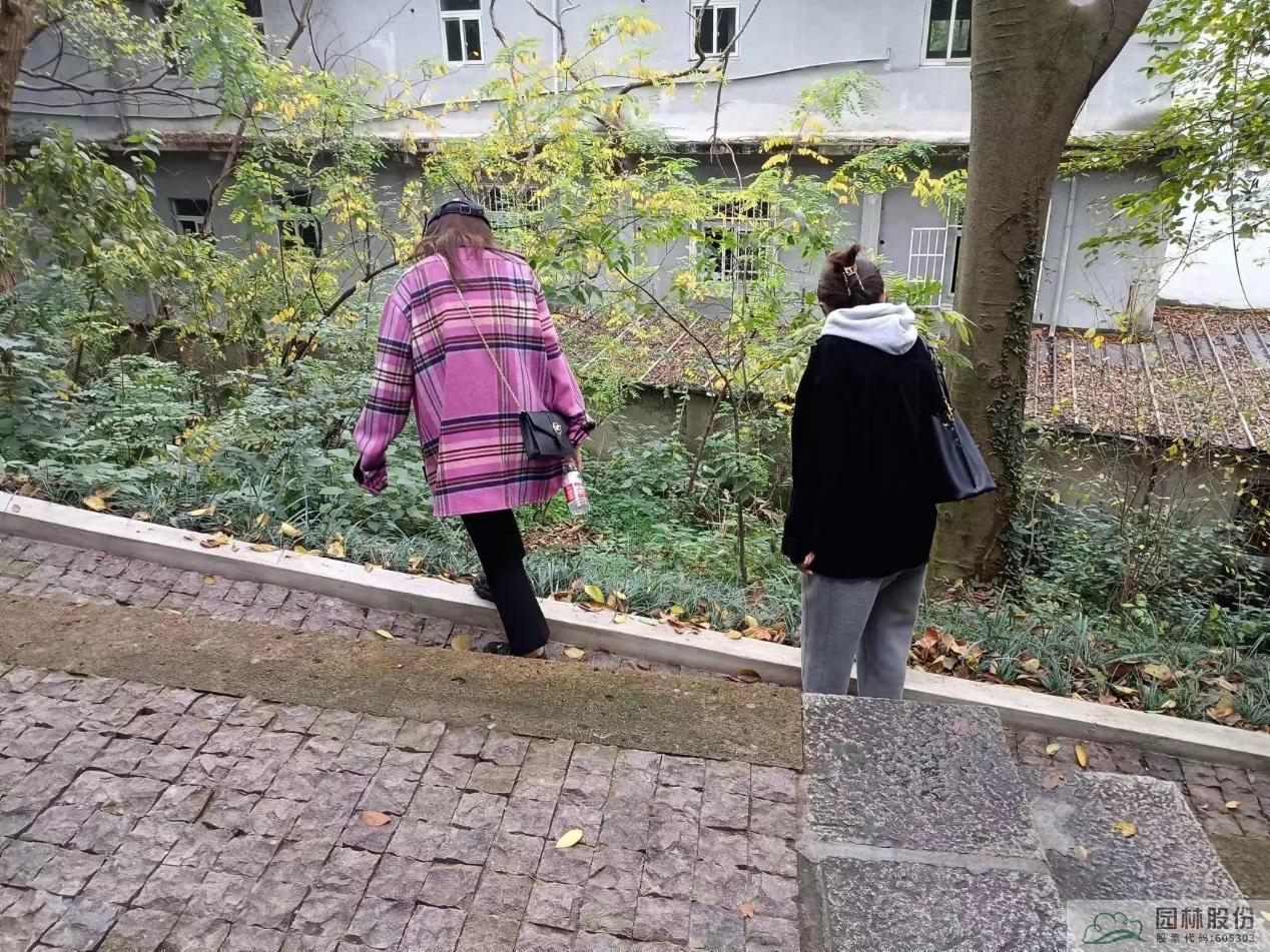 电竞比赛押注app