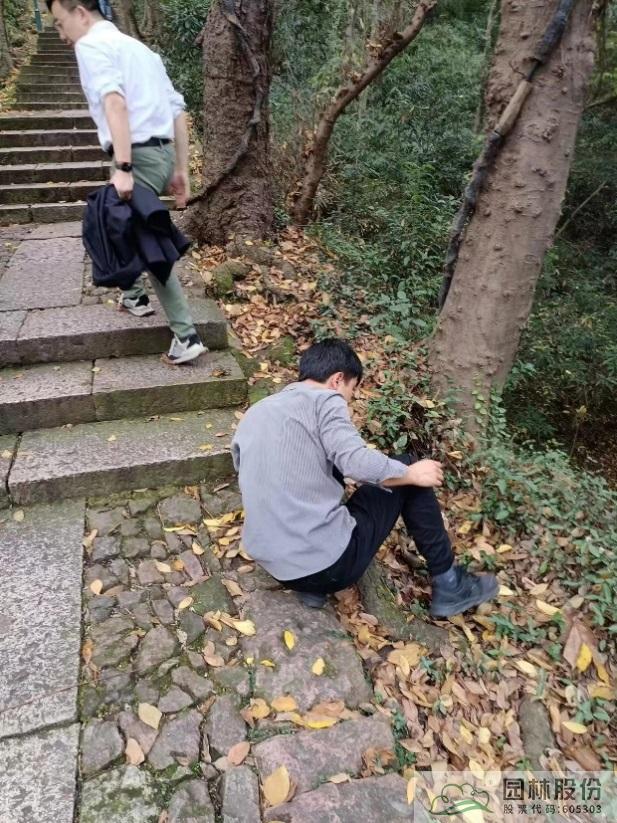 电竞比赛押注app