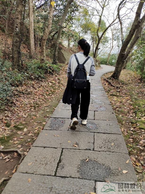 电竞比赛押注app