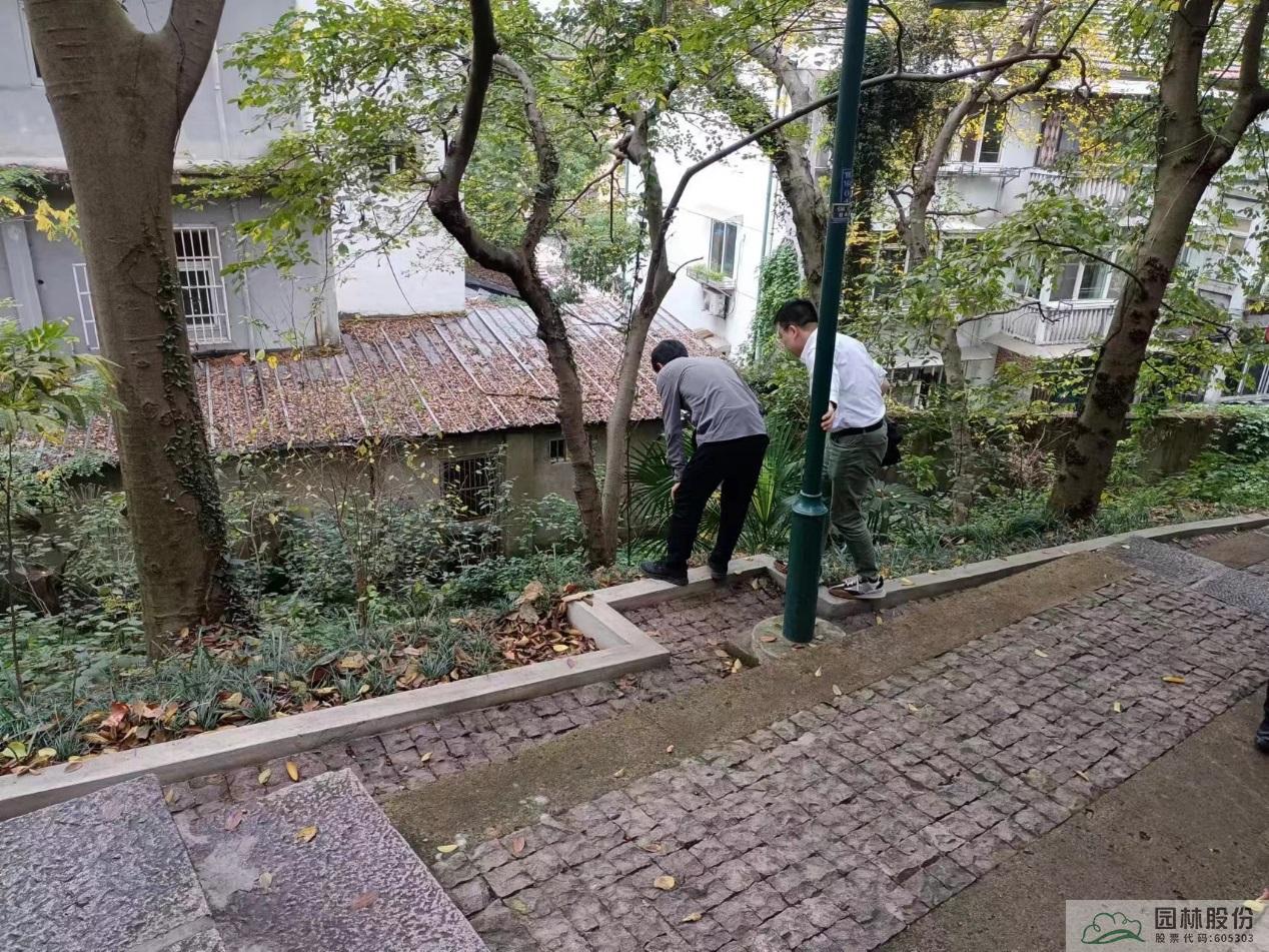 电竞比赛押注app