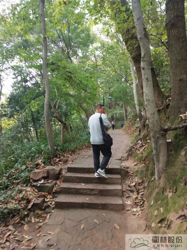 电竞比赛押注app