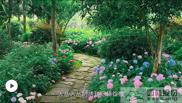 电竞比赛押注app