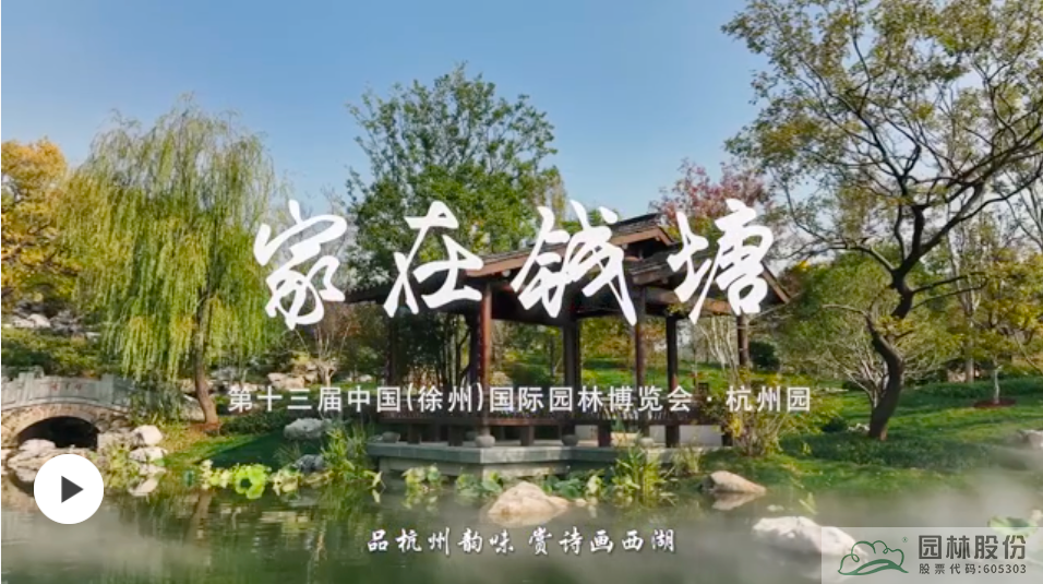 电竞比赛押注app