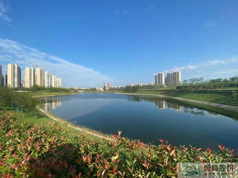 电竞比赛押注app