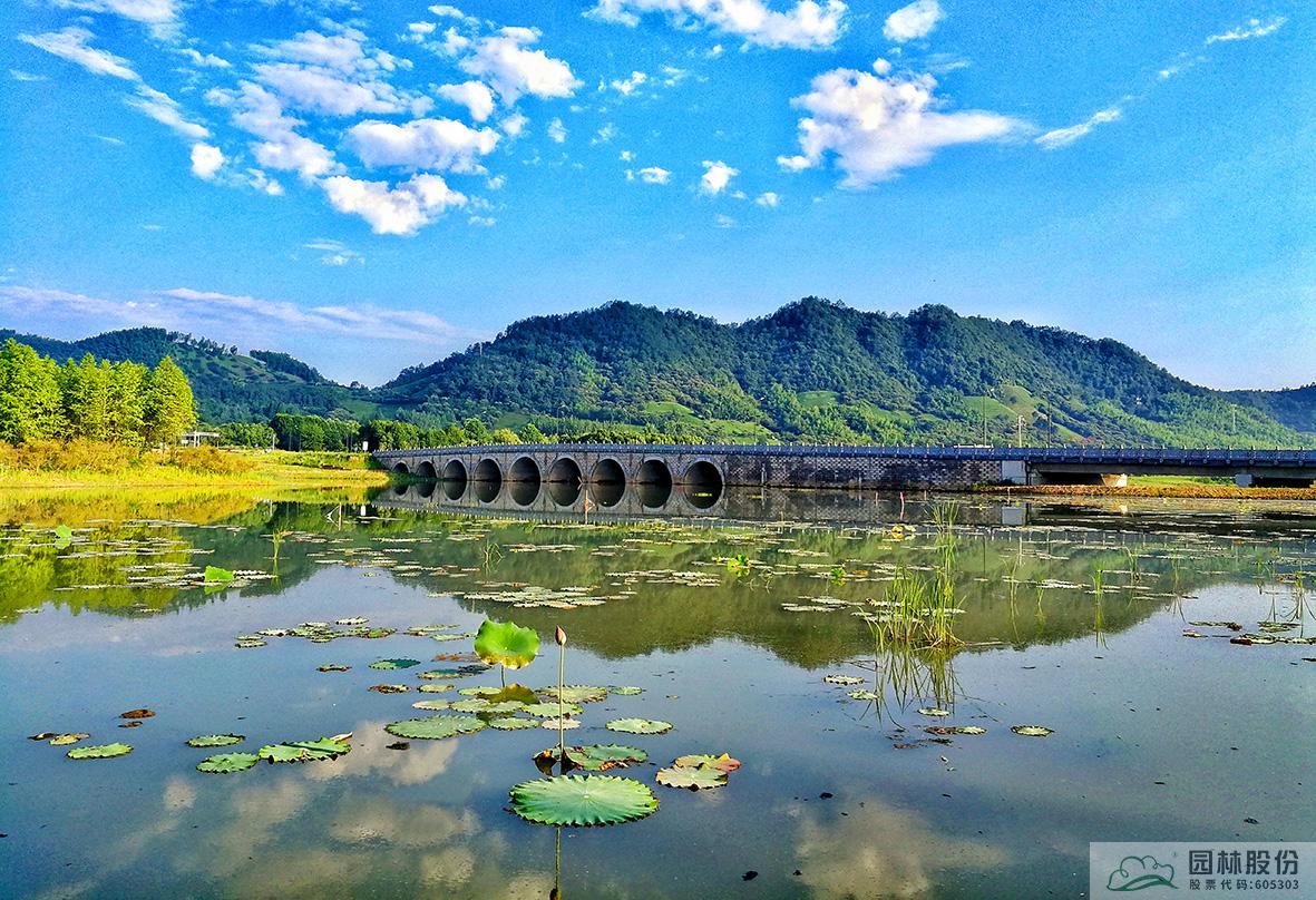 电竞比赛押注app