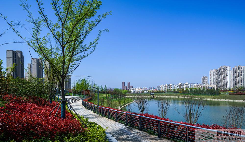 电竞比赛押注app